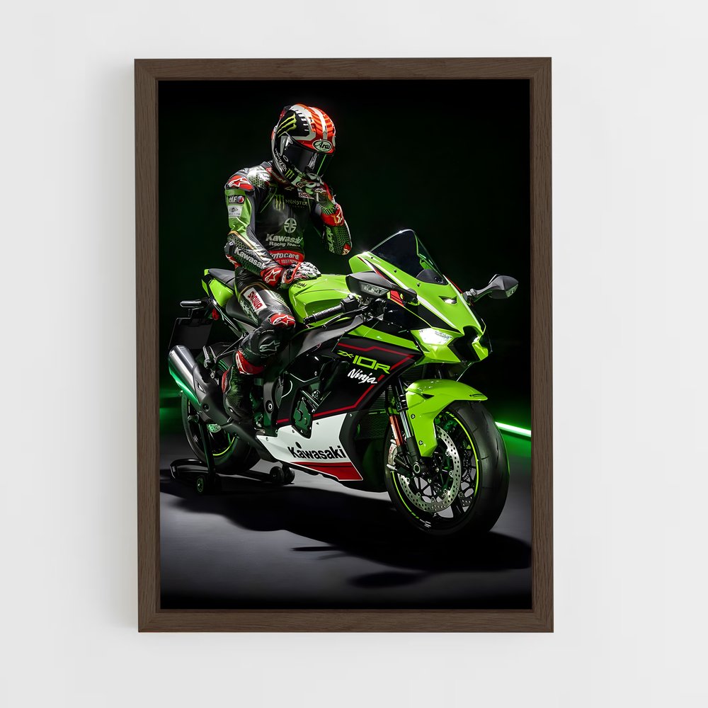 Poster captivant Ninja zx-rr (vue 5)